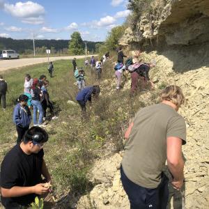 Students checking out Paleozoic outcrops